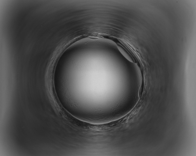 X0000088570241200705251123