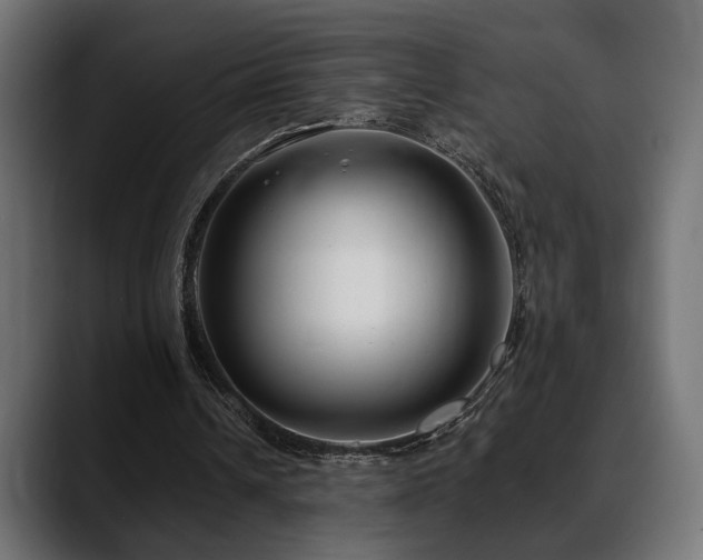 X0000088570242200705251123