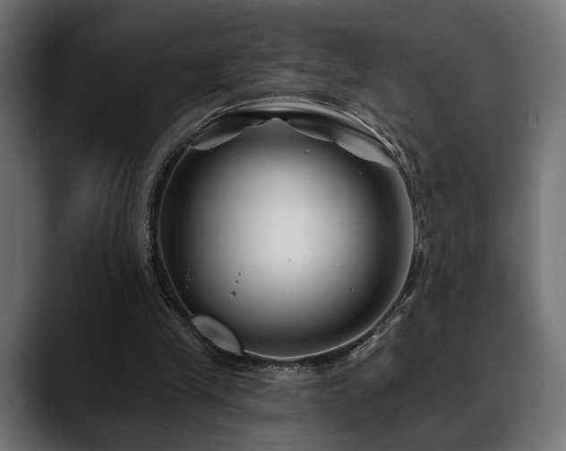 X0000088570245200705251123