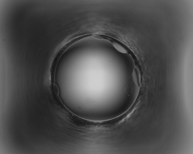 X0000088570246200705251123