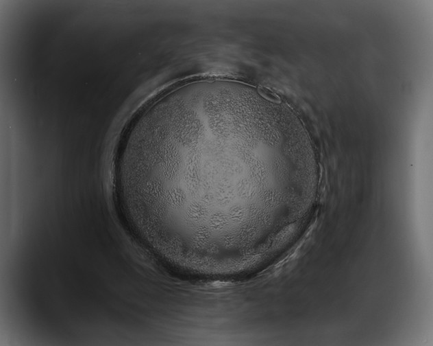 X0000088570247200705251123