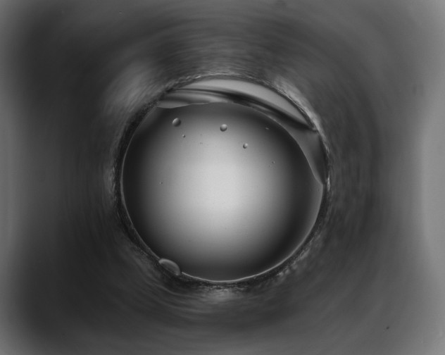 X0000088570249200705251123