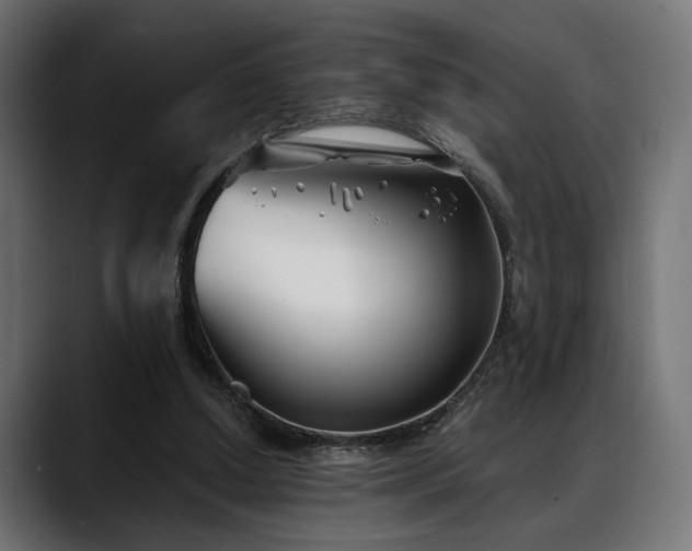 X0000088570250200705251123
