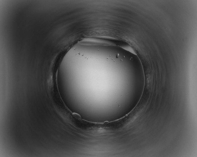 X0000088570254200705251123