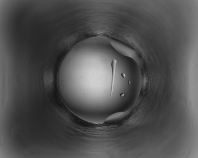 X0000088570260200705251123