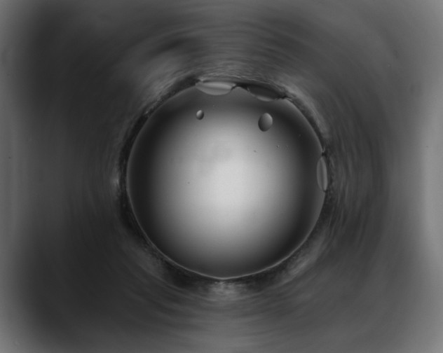 X0000088570261200705251123