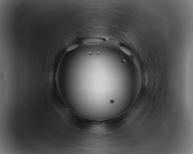 X0000088570263200705251123