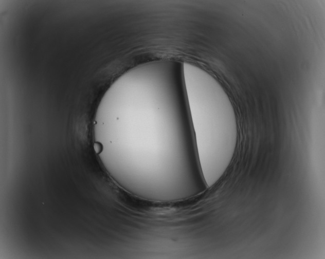 X0000088570266200705251123