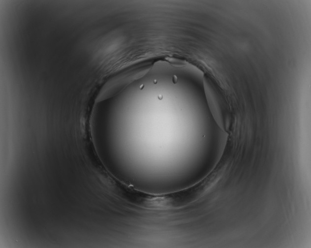X0000088570269200705251123