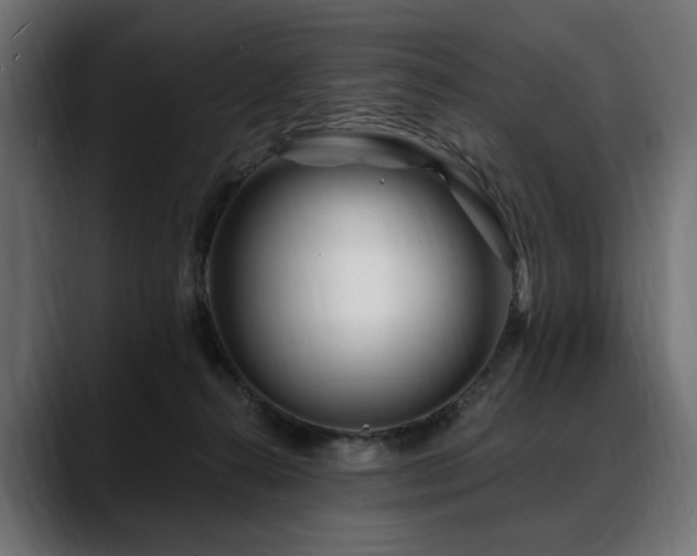X0000088570272200705251124