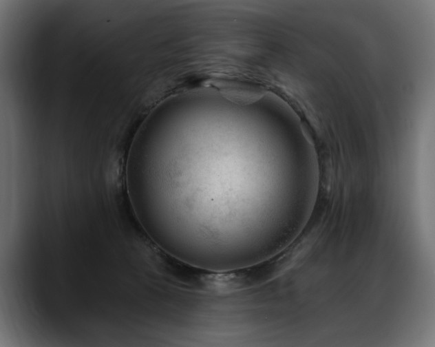 X0000088570273200705251124