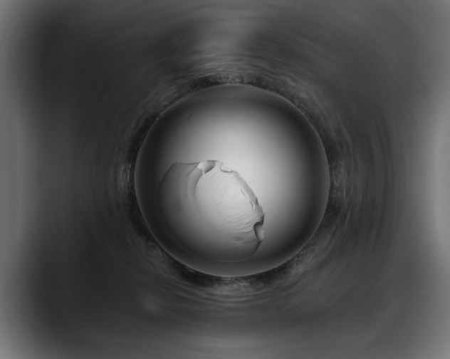 X0000088570278200705251124