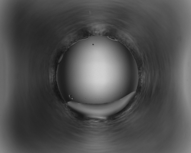 X0000088570283200705251124