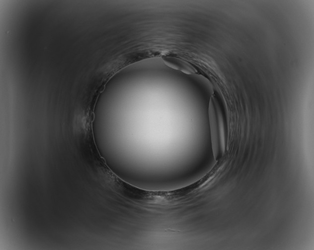 X0000088570285200705251124
