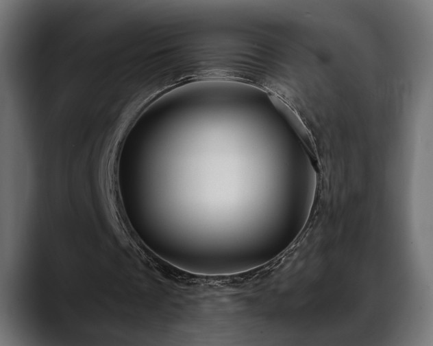 X0000088570289200705251123