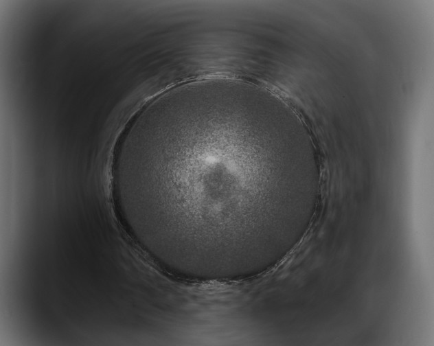 X0000088570290200705251123