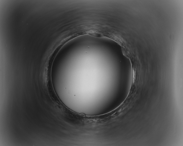 X0000088570291200705251123