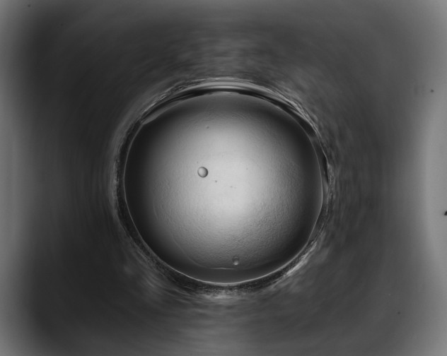 X0000088570293200705251123