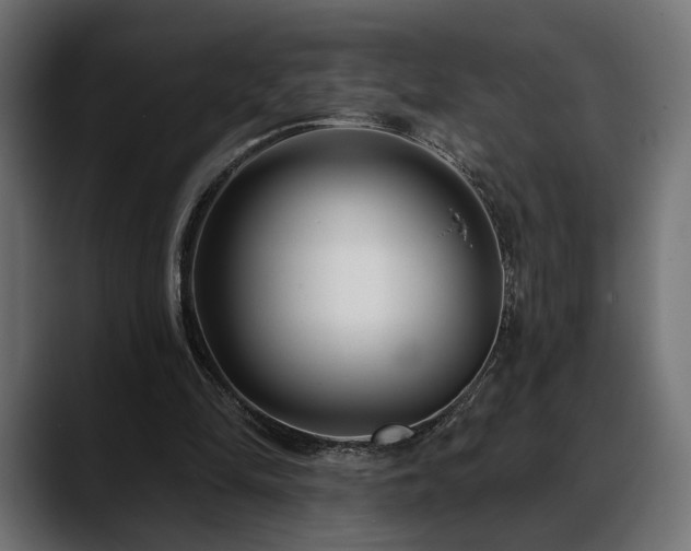X0000088570294200705251123