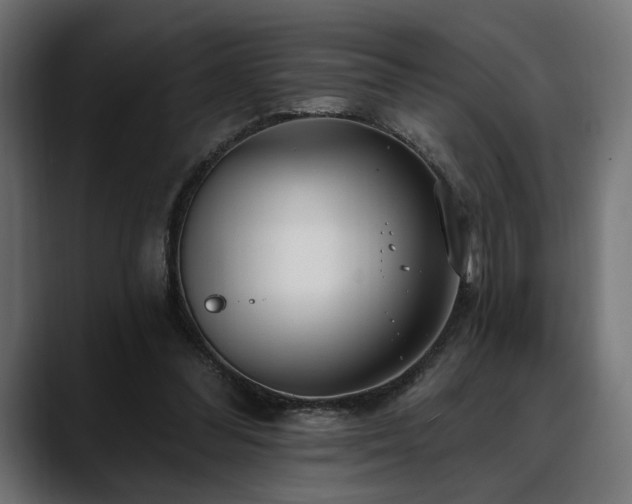 X0000088570300200705251123