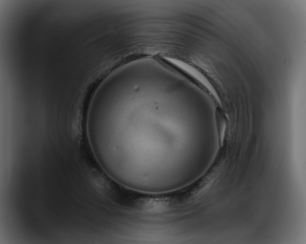 X0000088570303200705251123