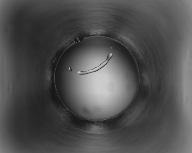 X0000088570308200705251123