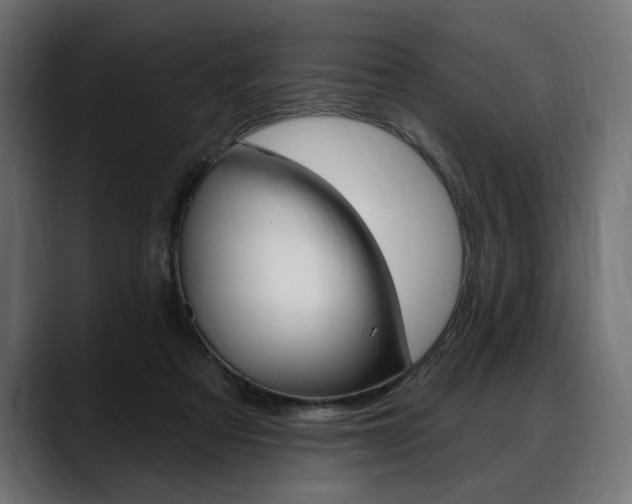 X0000088570313200705251123