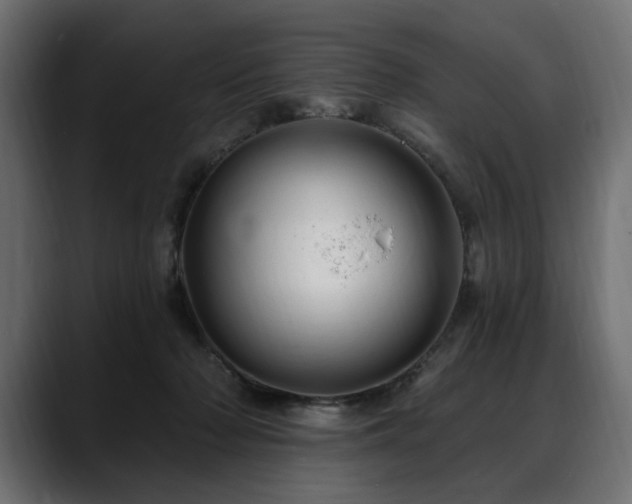 X0000088570318200705251123
