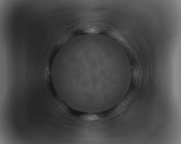 X0000088570322200705251123