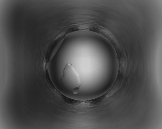 X0000088570329200705251123