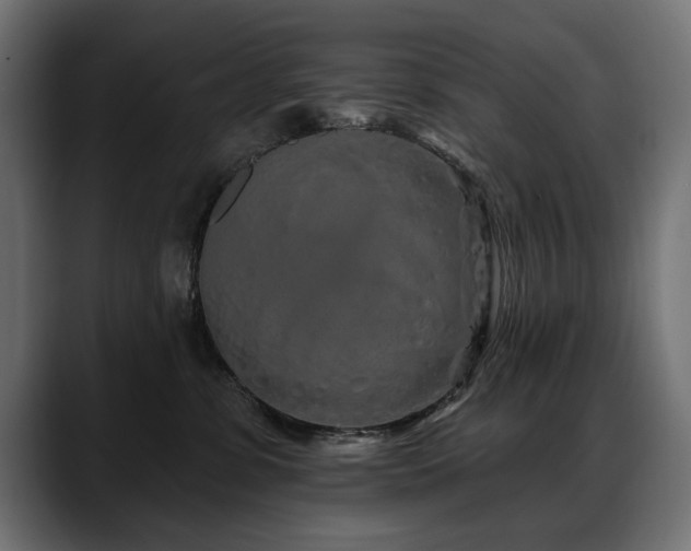 X0000088570331200705251123