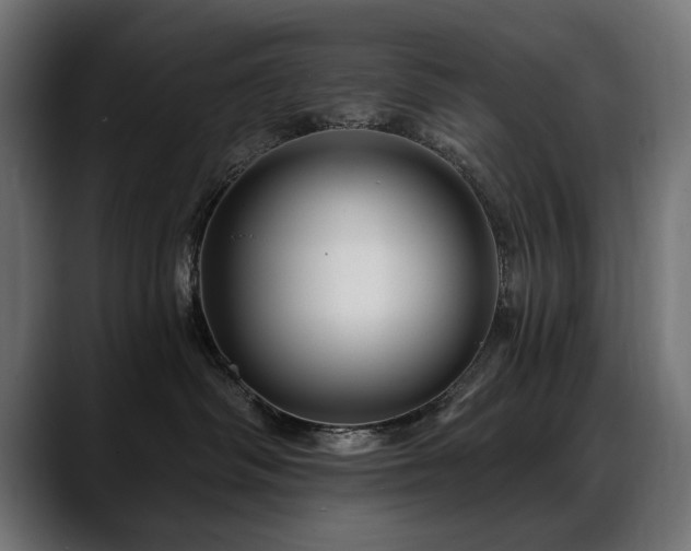 X0000088570334200705251123
