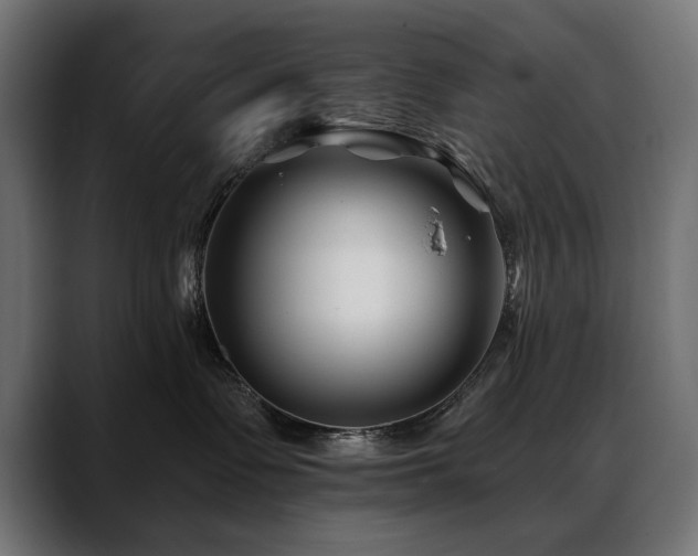 X0000088570335200705251123