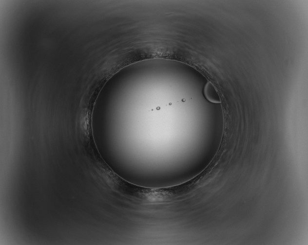X0000088570336200705251122