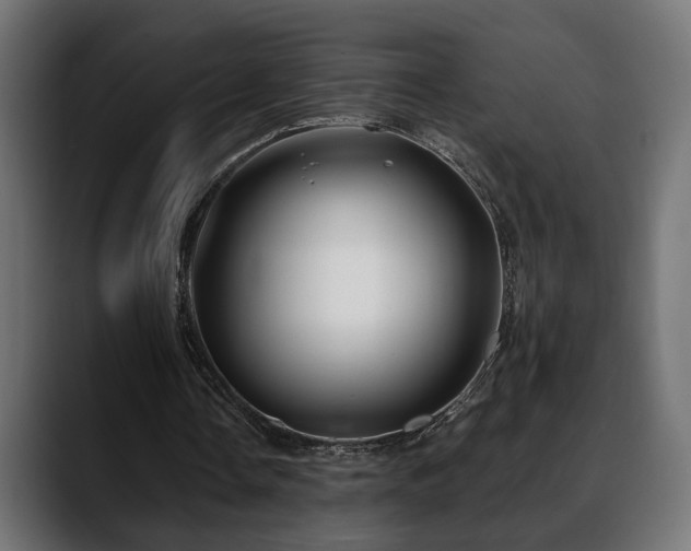 X0000088570338200705251122