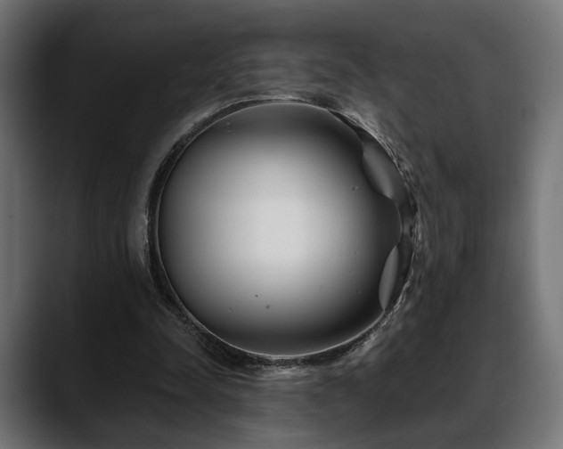 X0000088570342200705251122
