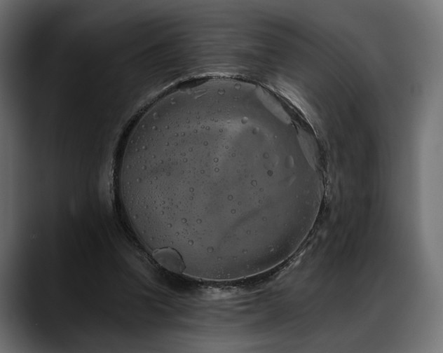 X0000088570346200705251122