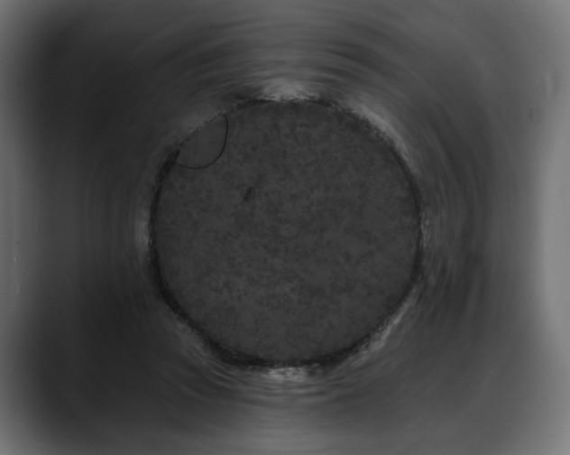 X0000088570353200705251122
