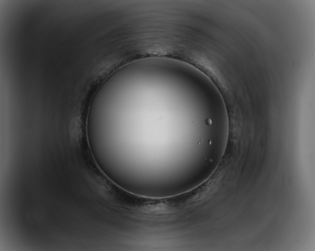 X0000088570354200705251122