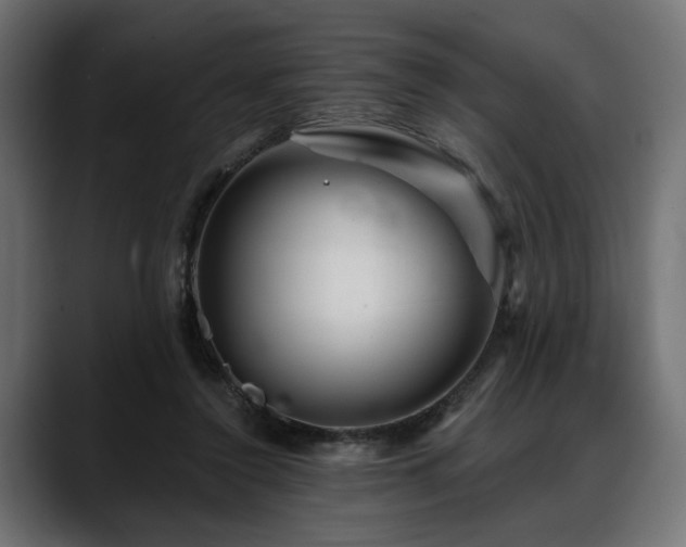 X0000088570356200705251122