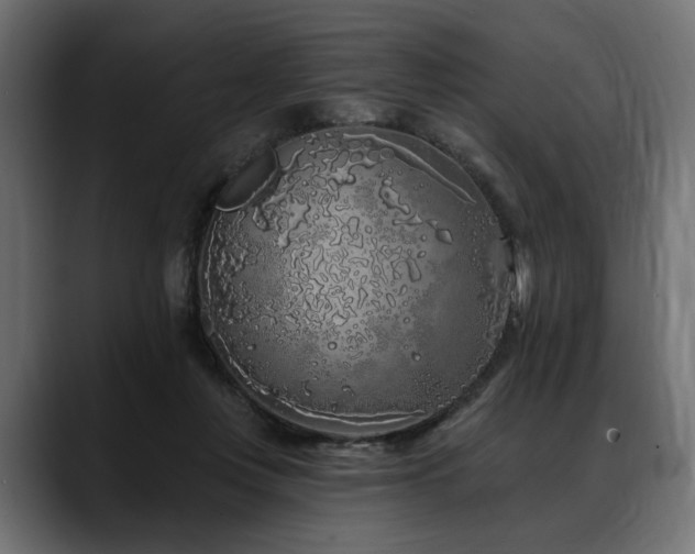 X0000088570359200705251122