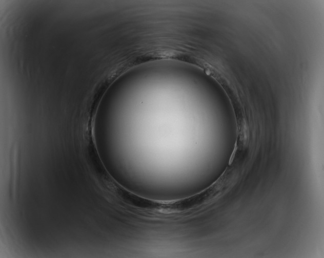 X0000088570360200705251122