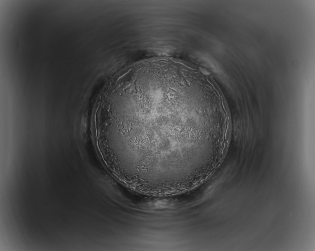 X0000088570365200705251122