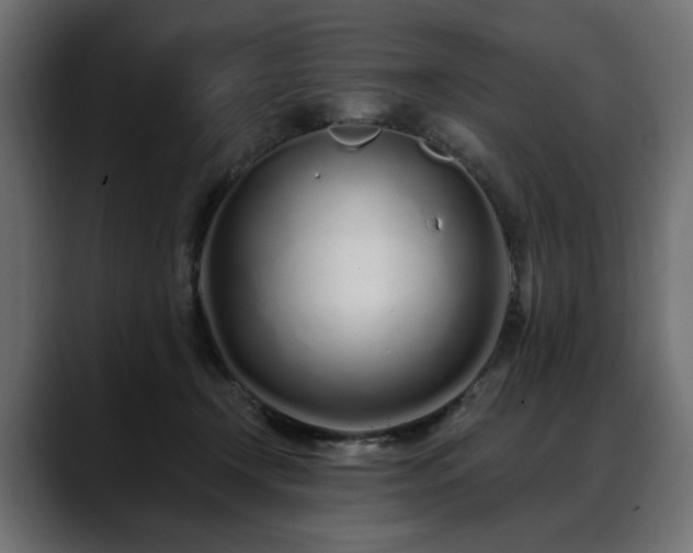 X0000088570366200705251122