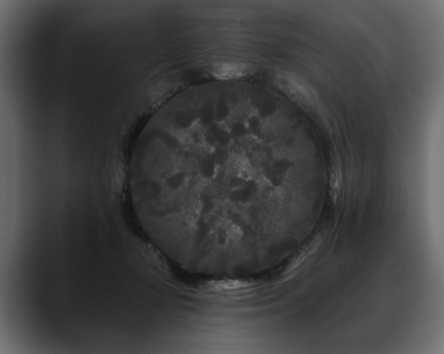 X0000088570367200705251122