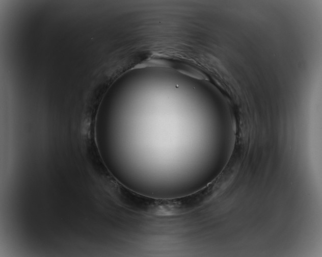 X0000088570368200705251122