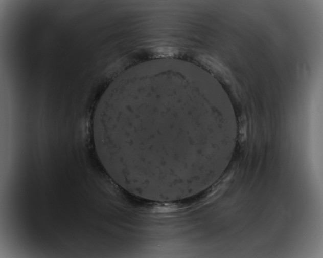 X0000088570369200705251122