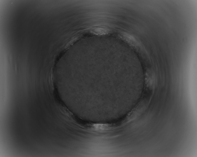 X0000088570371200705251122