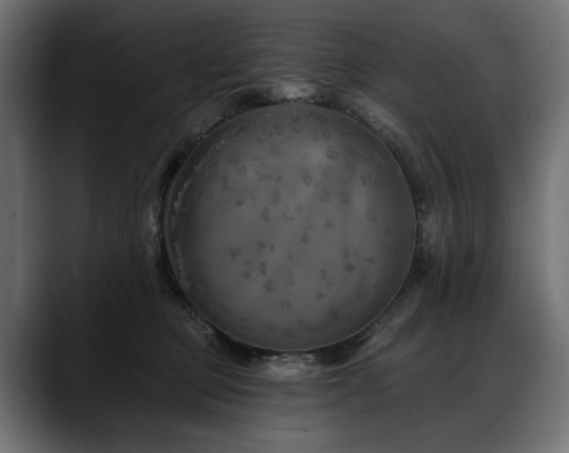 X0000088570373200705251122