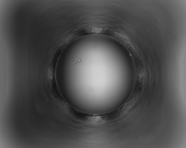X0000088570374200705251122